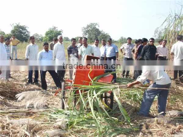 6BZ-5 Mini sugarcane machine leaf cutter easy operation sugarcane leaf remove