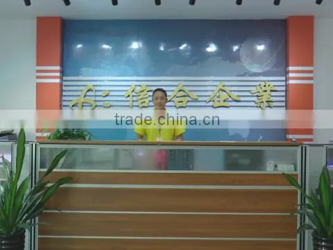 Shenzhen Xinhe Lighting Optoelectronics Co., Ltd. company overview - view 1