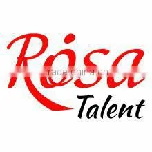 Rosa Trade Llc company overview - view 1