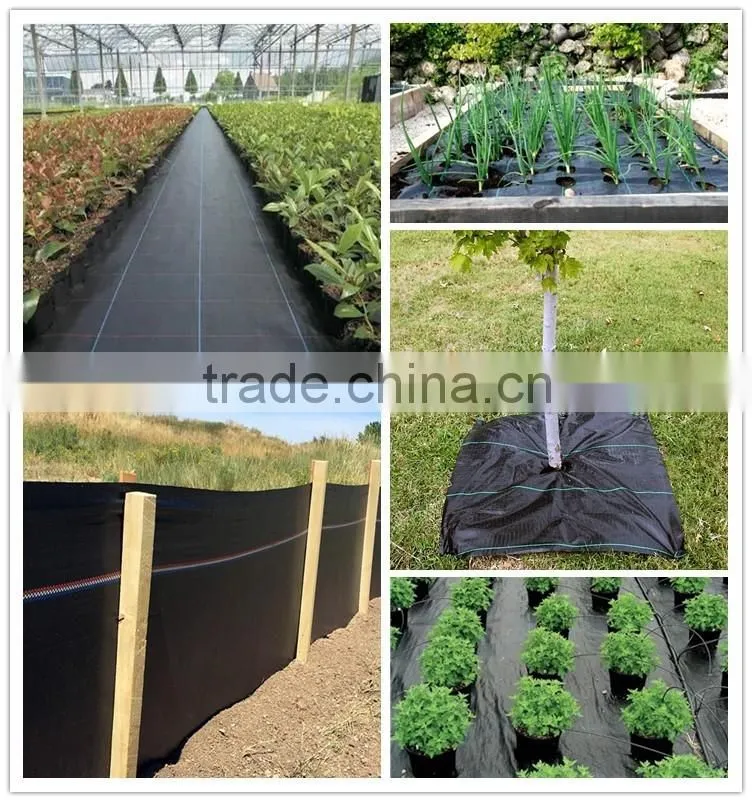 Agricultural pp weed mat shipping from china