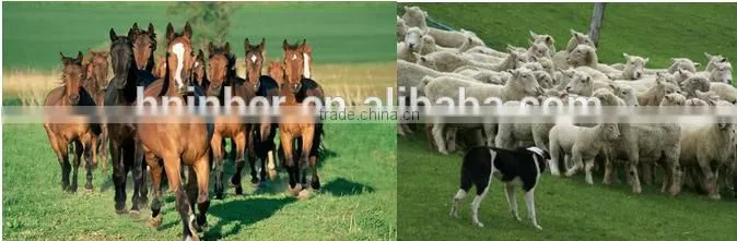 chaff cutter