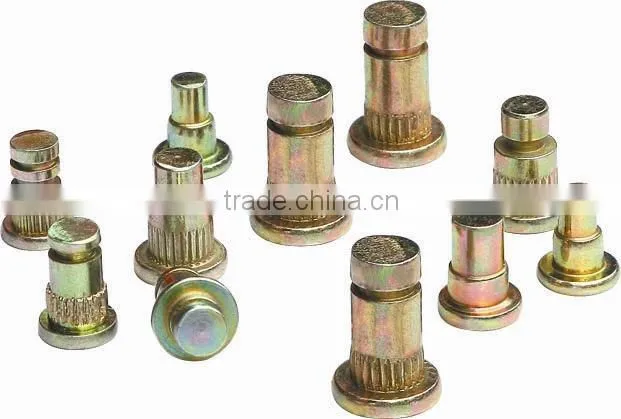 setp rivet