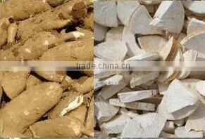 cassava peeler machine