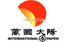 High Quality Folding Box Board FBB Ivory Board for Packages