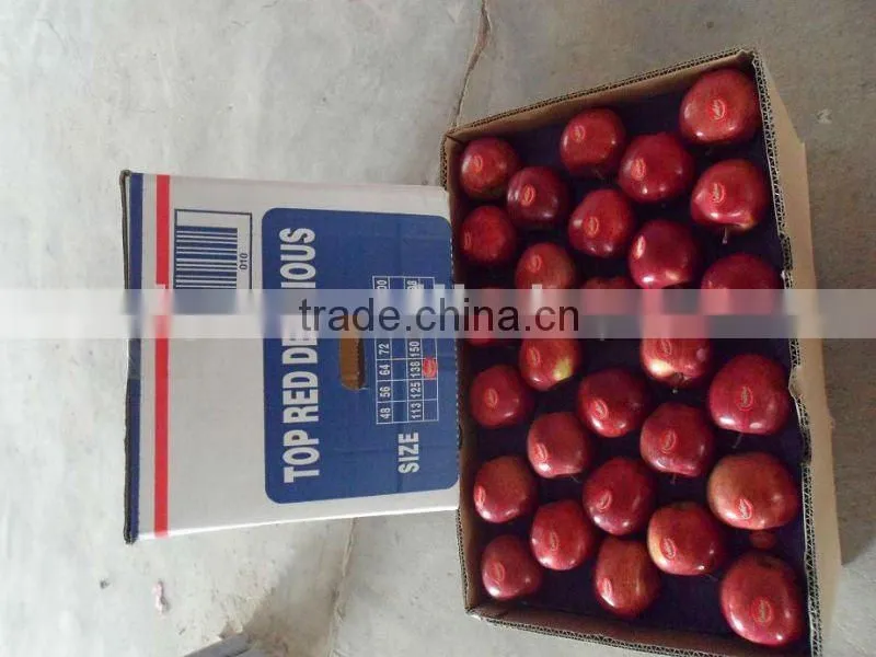 RED DELICIOUS APPLE 2015