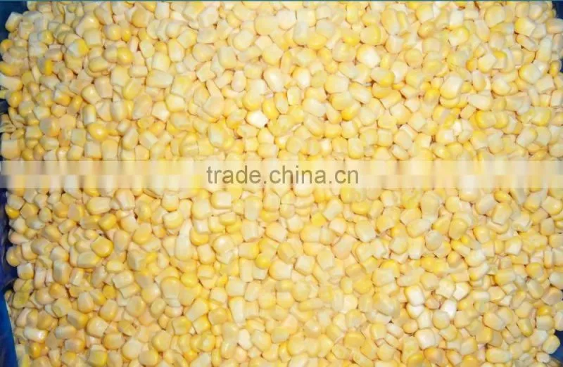 Low-priced IQF Frozen Sweet Corn Kernels