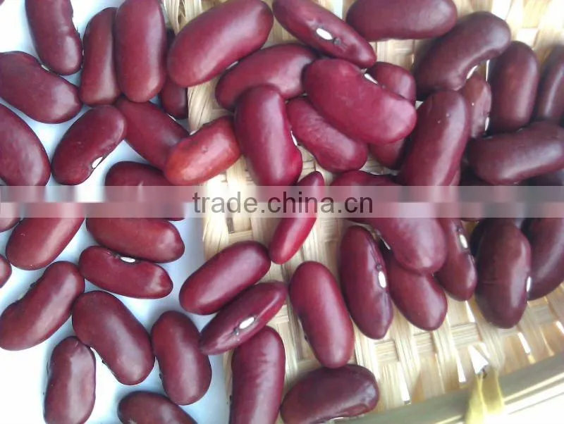 Dark Red Kidney Bean( British type, heilongjiang origin.hps)