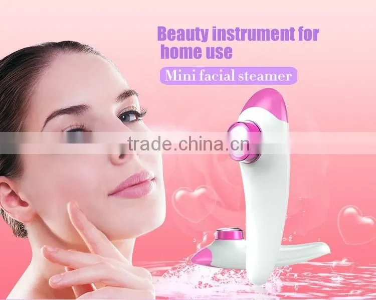 Best thing to sell 12ml usb portable cold and hot facial steamer