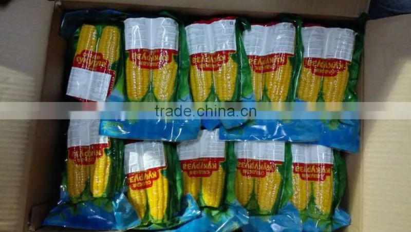 Twin Sweet corn cob In Vacuum Packing