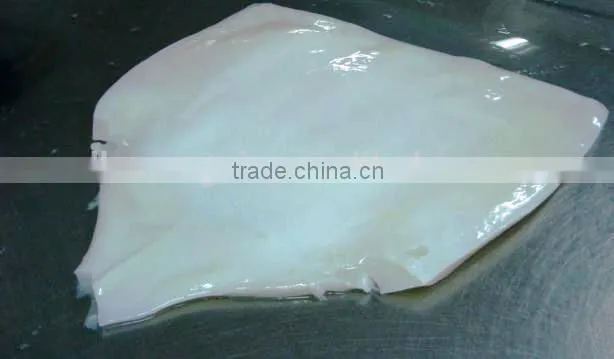 frozen squid fillet
