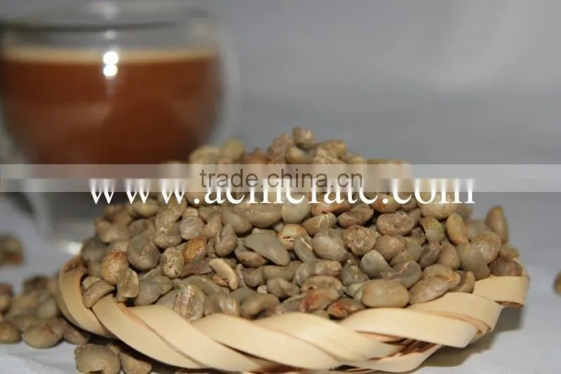 GMO arabica coffee bean price