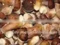 IQF MUSHROOM