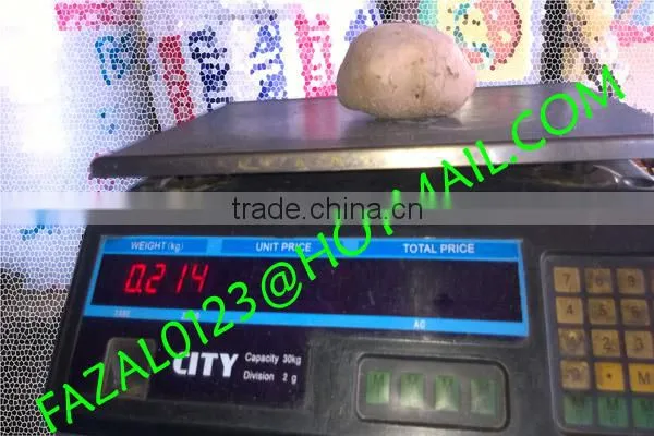 BANGLADESHI HIGH QUALITY FRESH GRANOLA POTATO AND DIAMOND POTATO FROM EXPORT TRADE ASSOCIATE WITH CHEAP PRICE