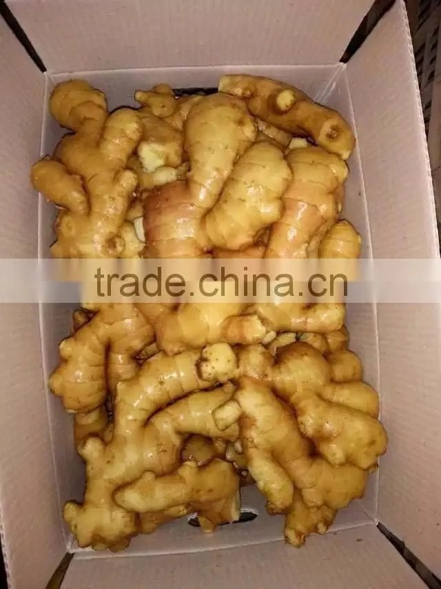 Fresh ginger choiceness