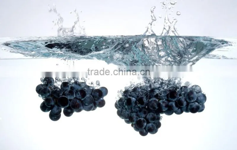 Skin care Grape Seed Oil Refined & Cold pressed