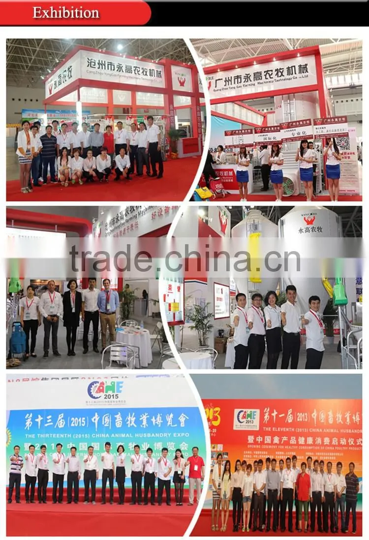 Hot salling poultry feeding system for Automatic Poultry farming equipment for Chickens