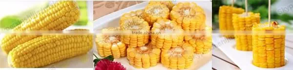 Good quality stainless steel sweet maize cutter