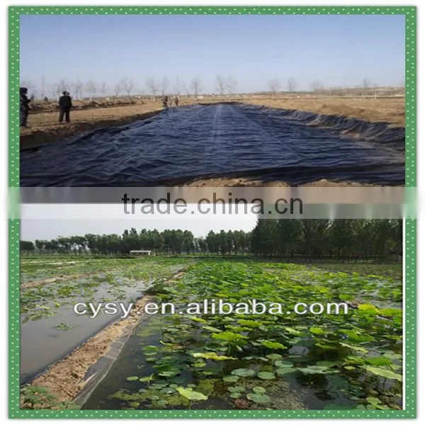 Heavy duty 2mm high density polythene plastic woven dam geomembrane/flexible UV resistance waterproof pool liner in Philippines