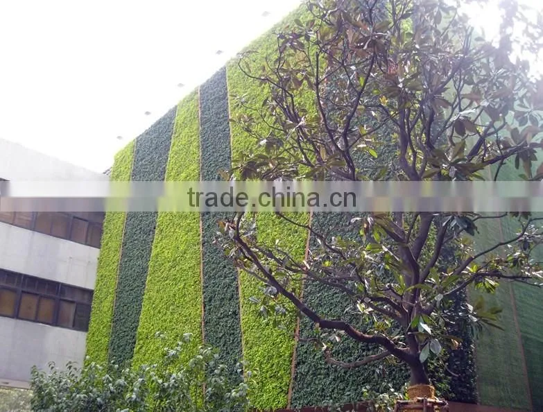 types of ornamental plants hydroponics equipment flowerpot