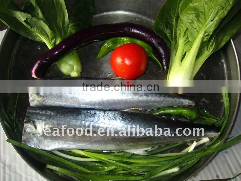 IQF spanish mackerel fillets A,B grade