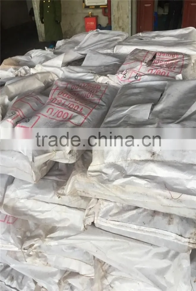 BQF illex argentina/argentinus squid WR