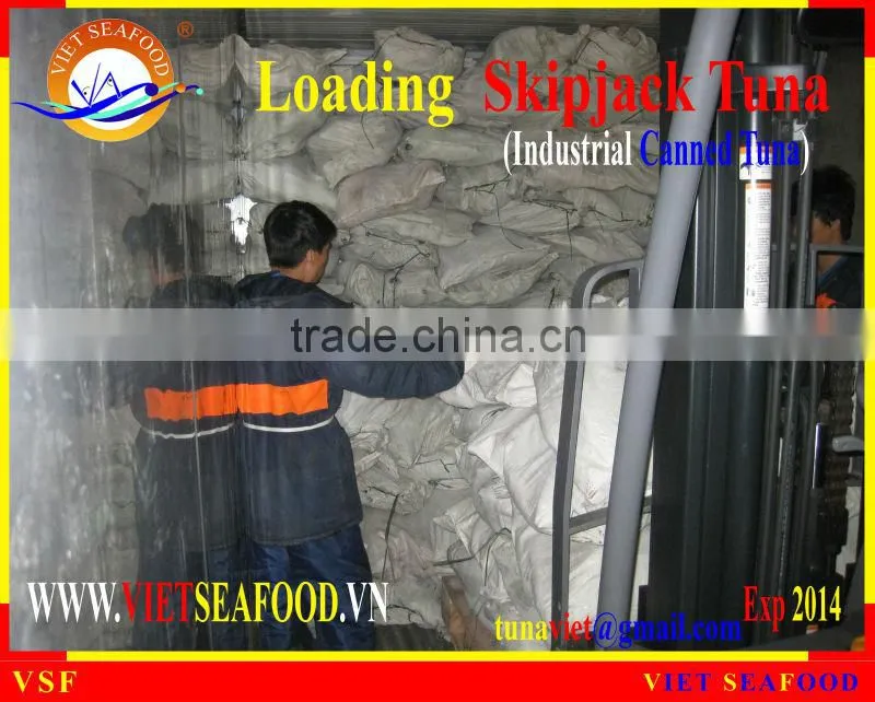 LOADING FROZEN SKIPJACK TUNA W/R