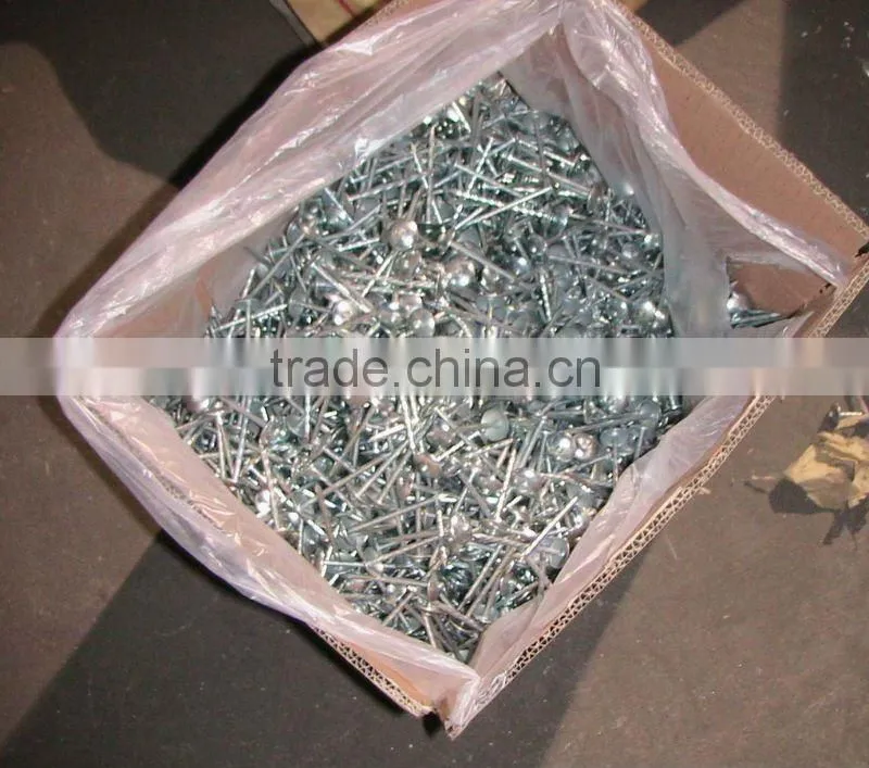 umbrella roofing nails for south africa