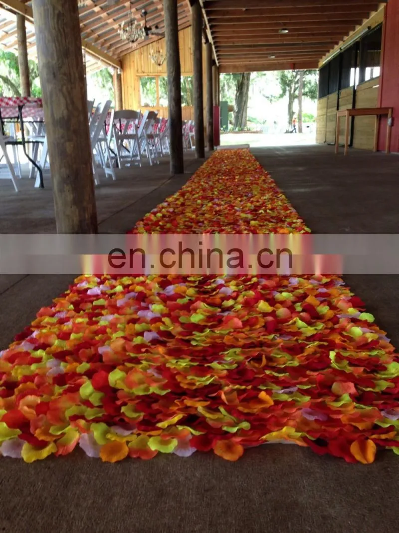 Rustic Wedding Petal Aisle Runner