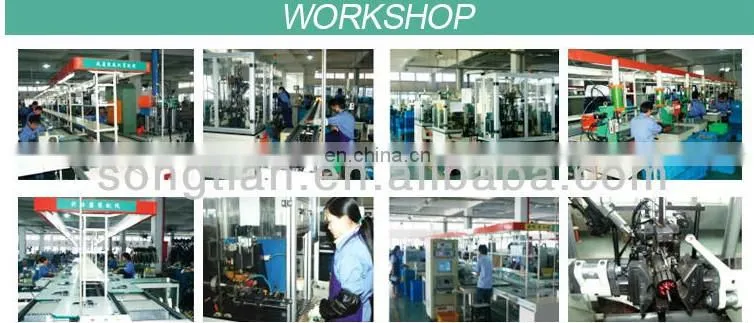 China Wenzhou Songtian High Performance Starter motor 405.146
