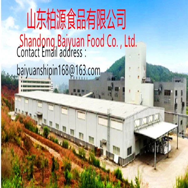 Shandong Baiyuan Food Co. , Ltd. company overview - view 1