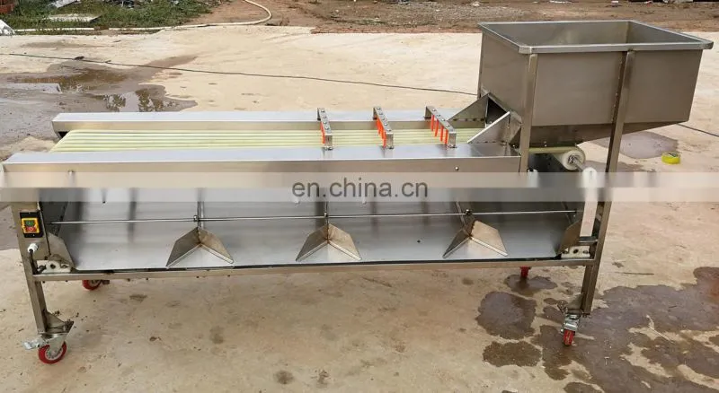 Automatic sorter citrus fruits vegetable size sorting grading machine for dates olive apple
