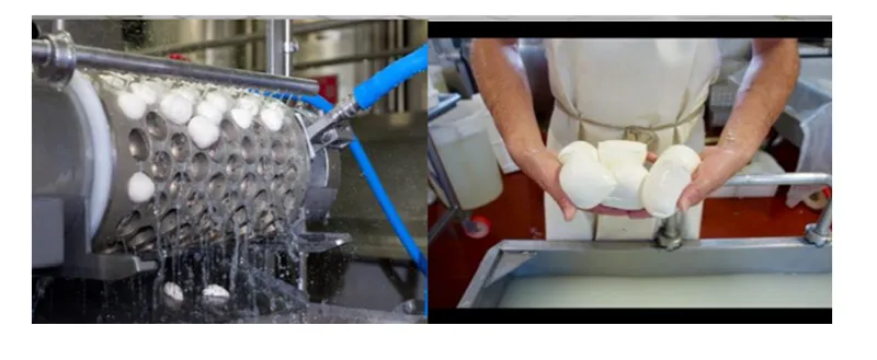 Mozzarella Cheese Cutting Cooking Stretching Moulding Making Machine
