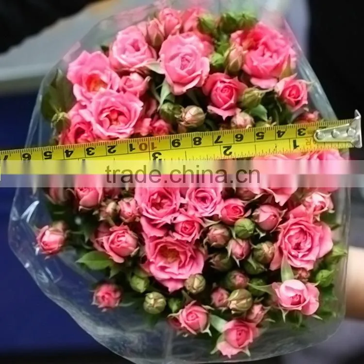 Colorful sprayed rose high quality fresh cut rose flower