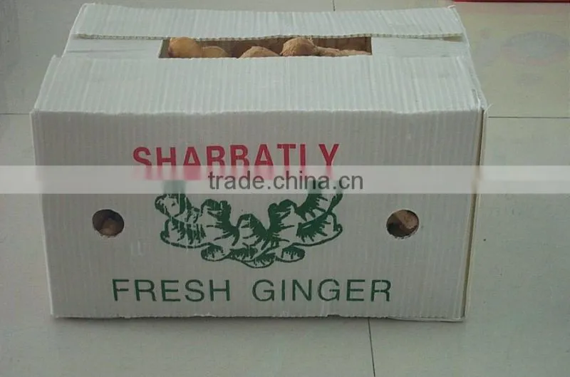 ginger and garlic exporter