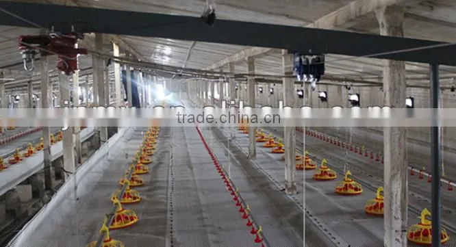 for poultry farm house automatic water trough