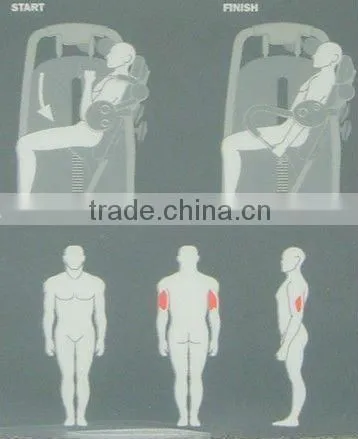 gym fitness equipment /Seated Tricep Extension TZ6011 /Professional Bodybuilding Machine