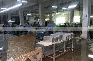 Ying Fung Development (h.k.) Limited company overview - view 3