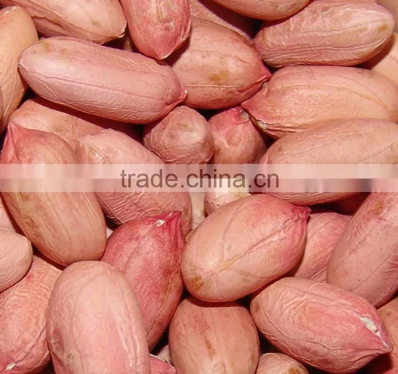 peanut kernels