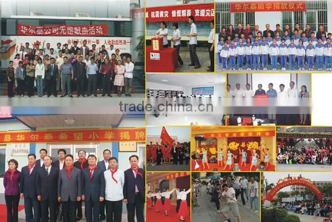 high quality galvanized steel coil