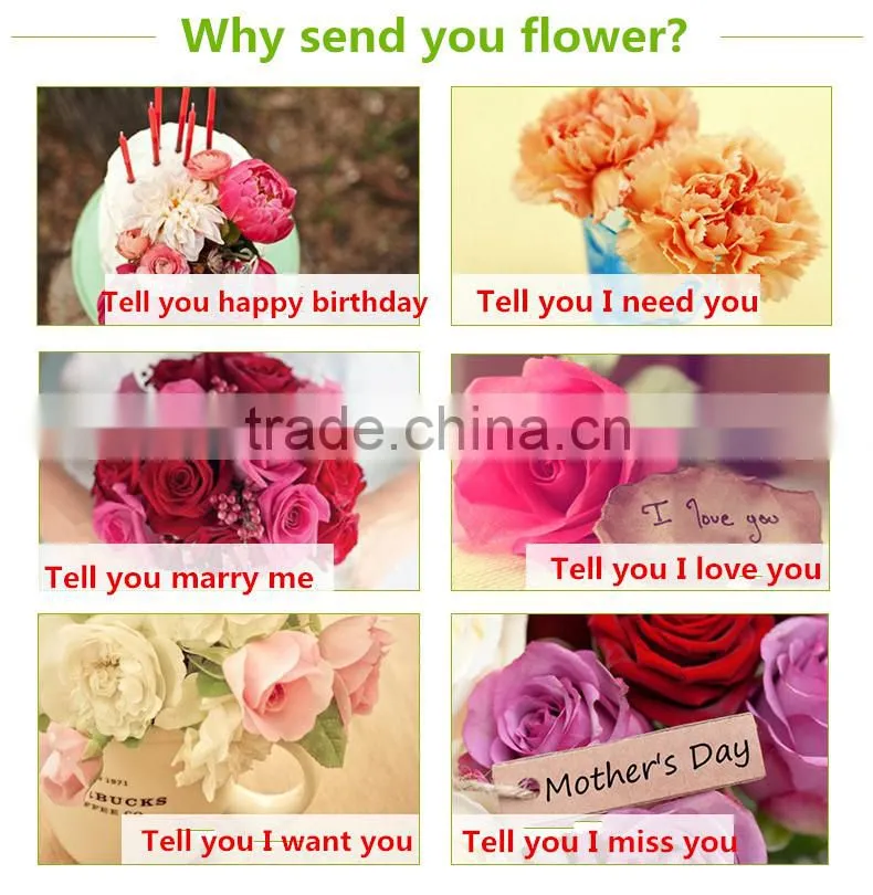 Yinghe new condition flower printer