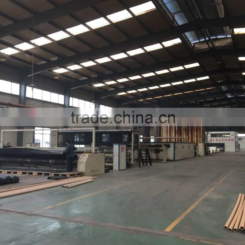 Polyester Geogrid/ BX Poliester Geogrid/ UX Poliester Geogrid