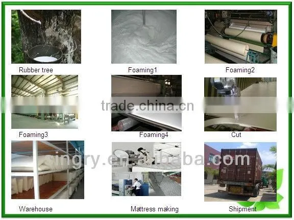 Professional Factory For Natural Latex Mattress Core