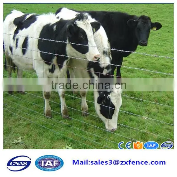 Factory direct cheap heavy duty sheep fence,horse fence,cattle fence