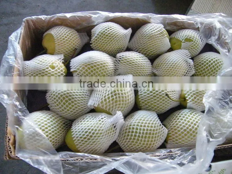 2015 fresh shandong pear supplying in china