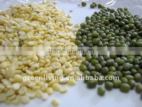 chinese peeled green mung bean(dry)