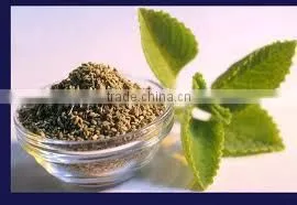Ajowan Oil