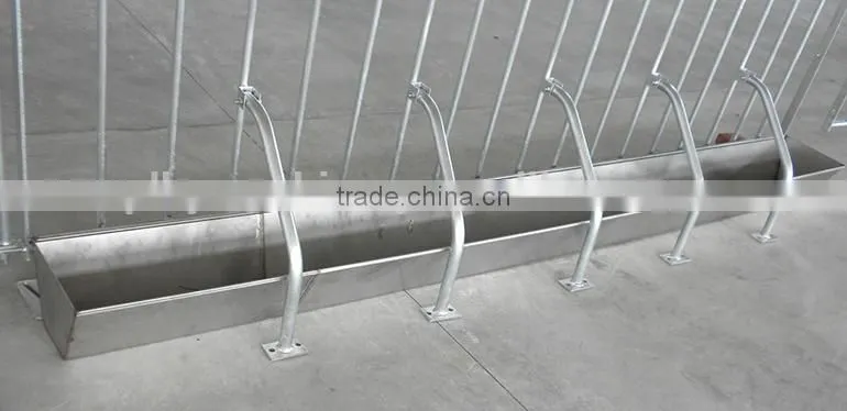 Automatic Feeding System