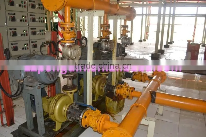 Most popular bottom price in Africa 40TPH palm oil equipment