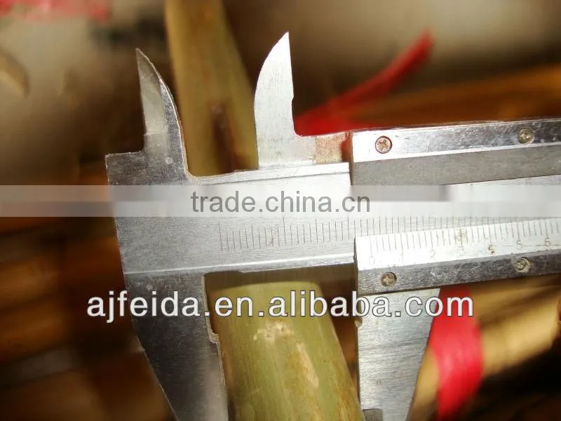 raw bamboo produce &bamboo cane