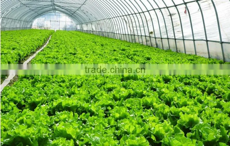 Good daylighting and fire retardant vegetables greenhouse,commercial greenhouse,fiberglass greenhouse